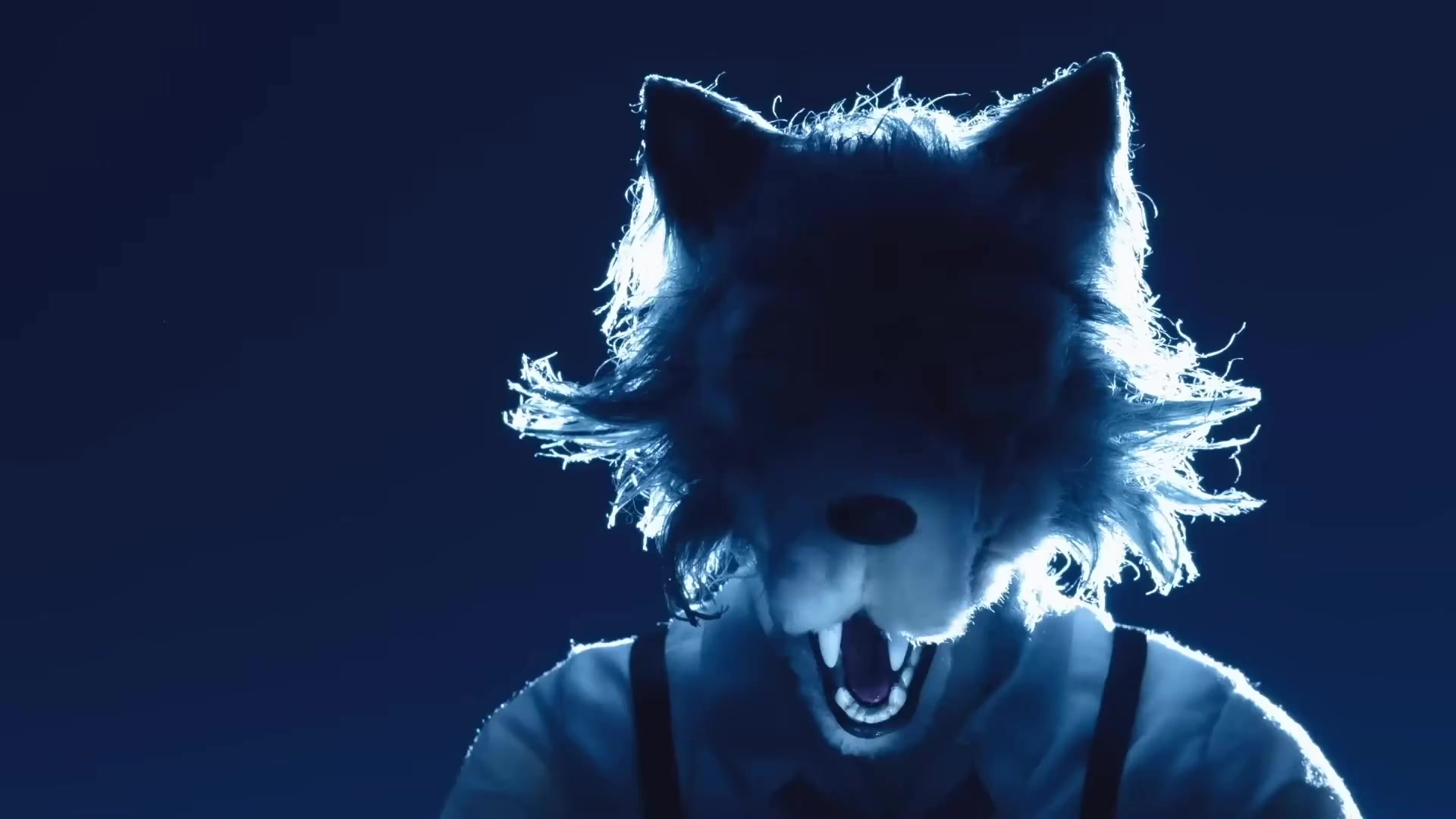 [Tsukyio Editing Resources] Beastars OP Precut_15-10x-RIFE-RIFE4.0-239.7602fps (tsukyioxyz).mp4